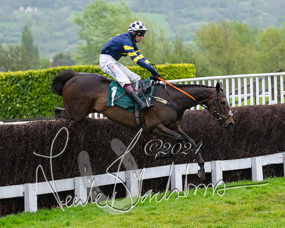 Race 5 - Mares Open  (52 of 129)