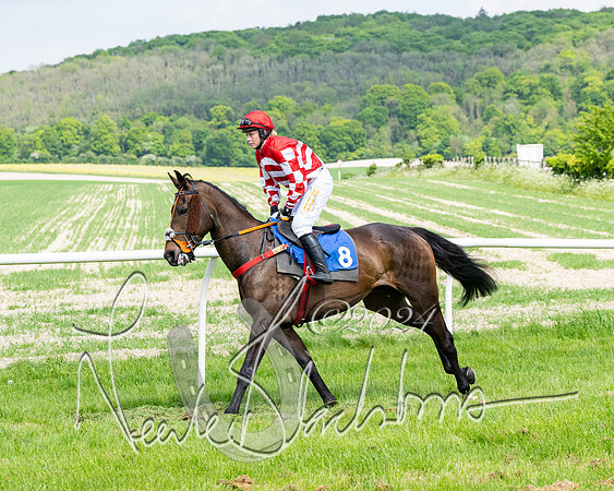Race 2 - Restricted  (118 of 308)