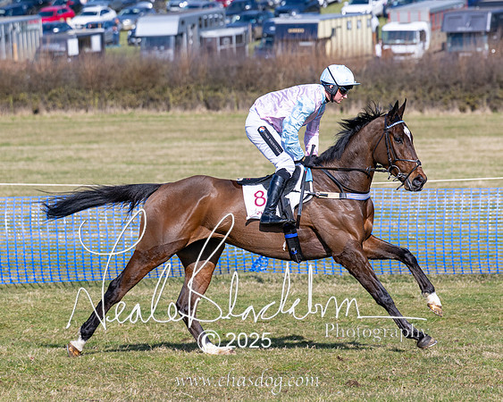 Race 1 - Maiden (79 of 188)