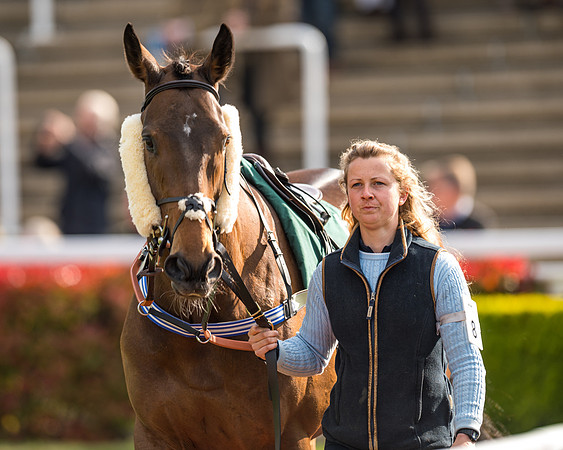 Race 2  -  Intermediate Point to Point Hunters' Steeple Chase (31 of 277)