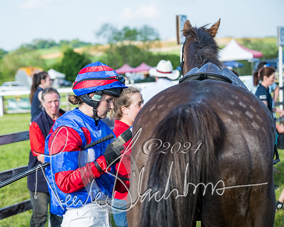 Race 7 - Veteran Horse (211 of 246)