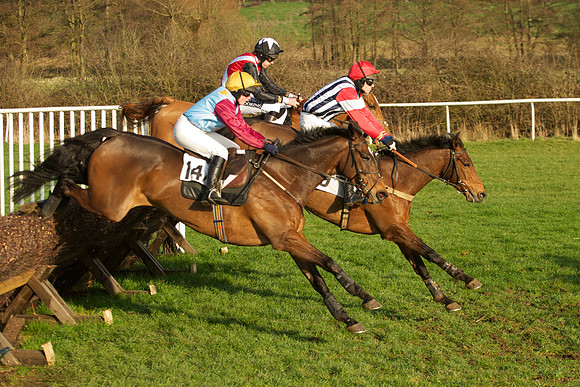 Race 7 - 24
