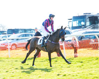 Race 2 - Open Maiden Div 2 (3 of 124).jpg
