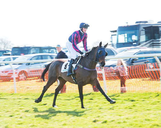Race 2 - Open Maiden Div 2 (3 of 124).jpg
