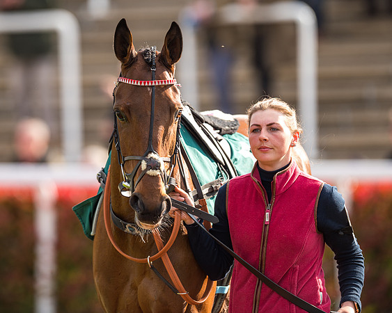Race 2  -  Intermediate Point to Point Hunters' Steeple Chase (37 of 277)