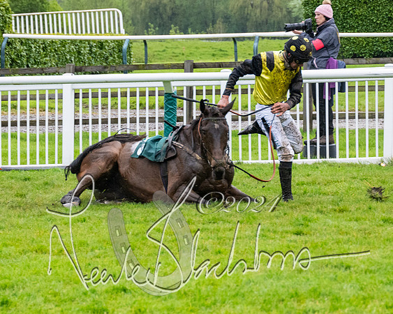 Race 5 - Mares Open  (64 of 129)