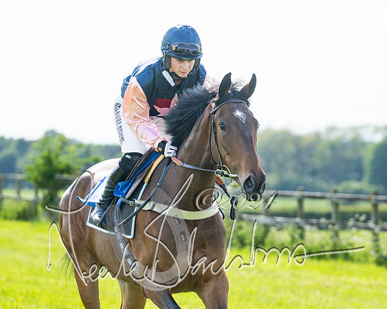 Race 5  - Maiden race 2m5F Div-1 (48 of 197)