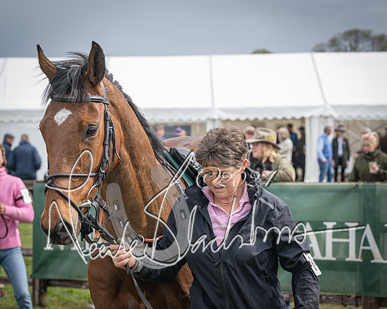 Race 3 - 5 years old and Over Maiden Race (11 of 130)