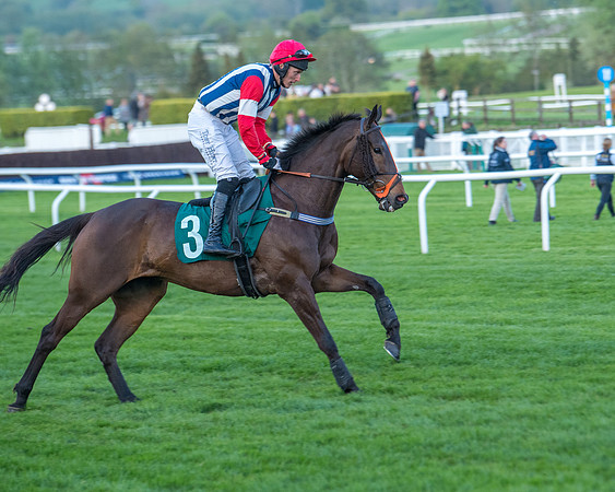 Race 7 - Glos Hussars  (89 of 245)