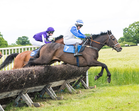 Race 5 - Restricted  (71 of 136)