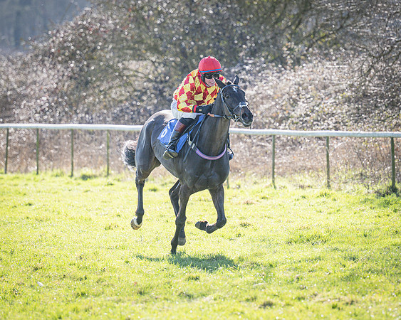 Race 2 - Restricted (38 of 63)