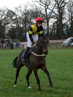 CHHC - Young Horse Maiden Division 1