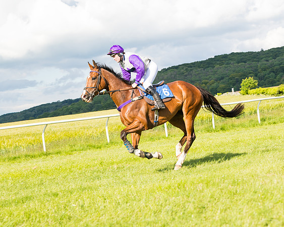 Race 6 - Open Maiden (59 of 227)