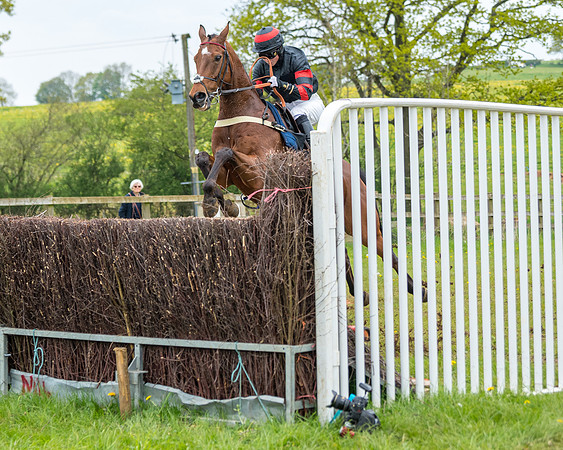 Race 2 - Jockey Club ROR veteran Horse (72 of 104)