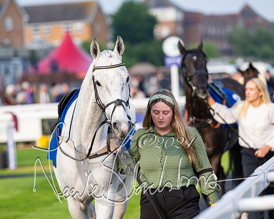 Race 4 - Stratford Foxhunters (1 of 145)