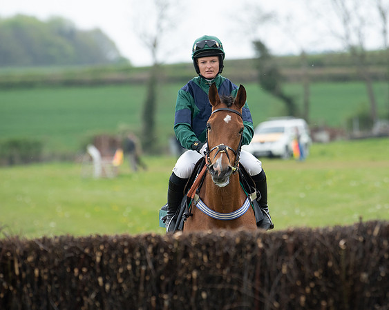 Race 2 - Jockey Club ROR veteran Horse (15 of 104)