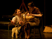 The Wizard of OZ -  2