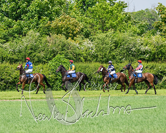 RAce 1 - Conditionsn [Level 2] (90 of 219)