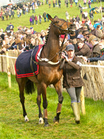 Old Berks at Lockinge Restricted Race
