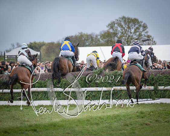 Race 3 - 5 years old and Over Maiden Race (55 of 130)