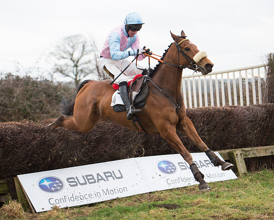 Race 6 - Open Maiden (92 of 100).jpg