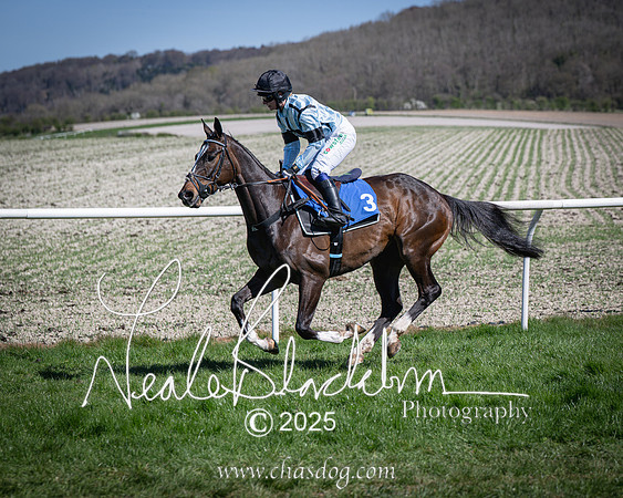 Race 2 - The Maiden (32 of 118)