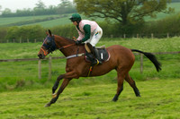 Race 5 - Restricted 13