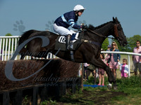 Race 4 - Novice and vets