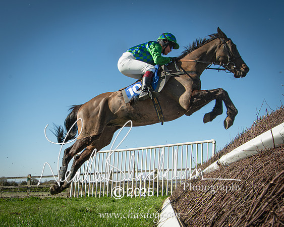 Race 5 - The restricted (91 of 113)