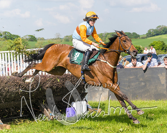 Race 4 - PPORA Novice Riders Final  (237 of 362)