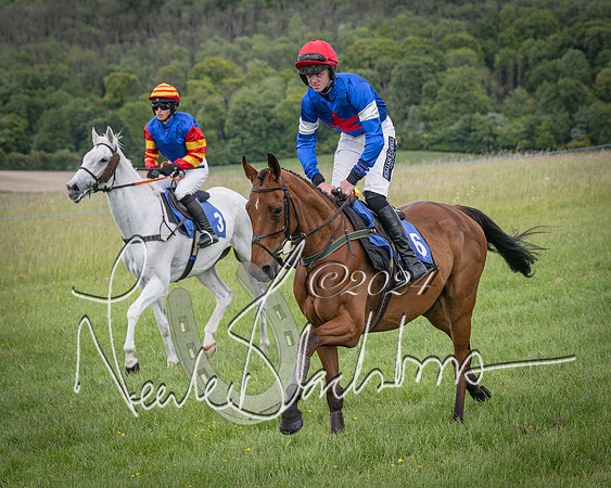Race 2 - PPORA Members conditions race for Novice riders (44 of 127)