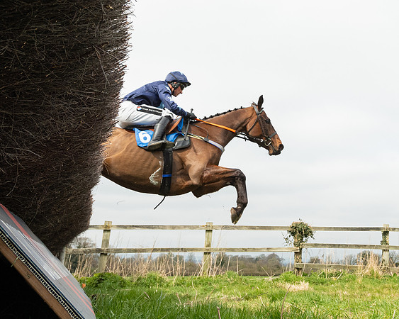 Race 2 - Veteran Horse (15 of 153)