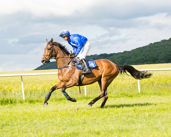 Race 6 - Open Maiden (75 of 227)