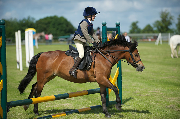 SOHS PC Summer Show at BCA 17th June 2012