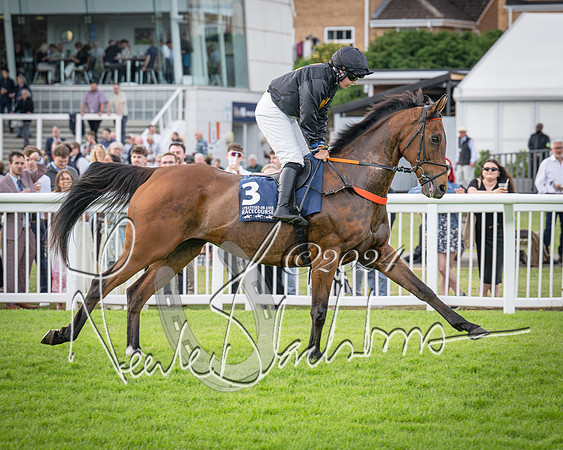 Race 2 - Olly Murphy Racing Stratford Ladies Open (48 of 111)