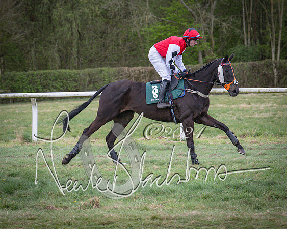 Race 7 - The Jockey Club maiden race for Mares and Fillies only (25 of 96)
