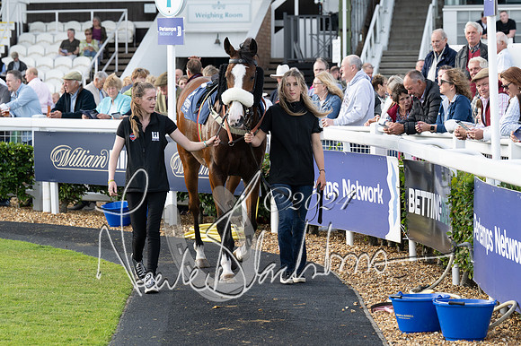 Race 3 - The pointtopoint.co.uk champion novices’ Hunter Chase (43 of 140)