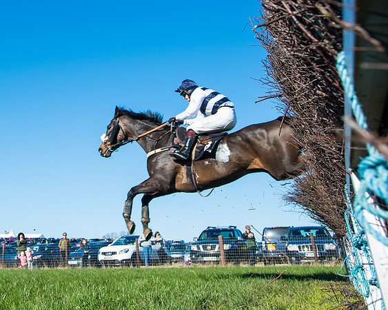 Race 4 - Ladies Open  (74 of 200)