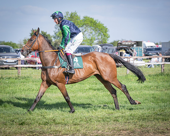 Race 6 - 2m5f Conditions (16 of 70)