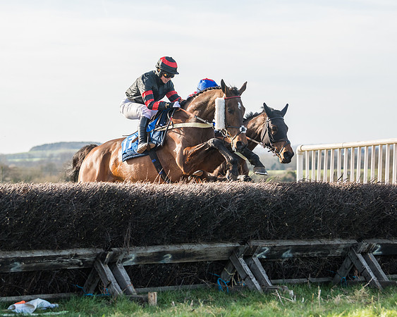 Race 5 - Restricted (42 of 146)