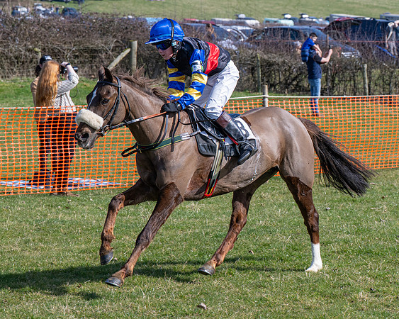 Pony Race 2 - 138cm (41 of 65)