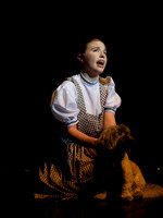 The Wizard of OZ -  12