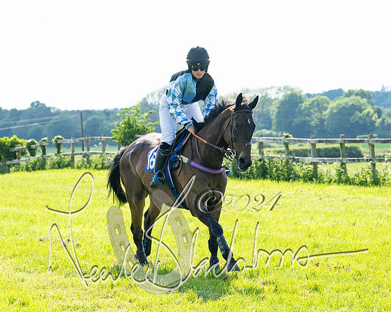 Race 5  - Maiden race 2m5F Div-2 (86 of 205)