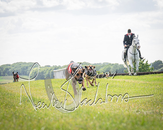 The Hound Race (18 of 68)