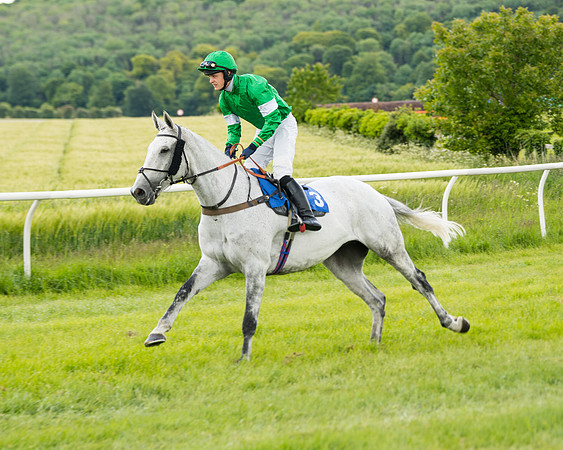 Race 1 - Owner Trainer Conditions  (32 of 133)