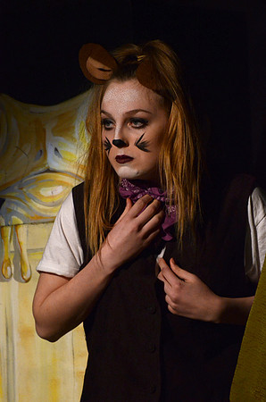 Wind in the Willows - Act-2  142