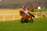 Race 6 - Restricted 7