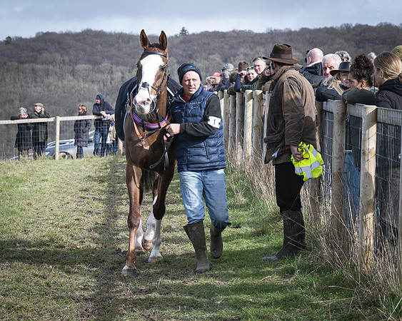 Race 3 - The Maiden Conditions (1 of 214)