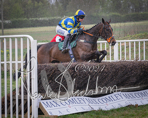 Race 7 - The Jockey Club maiden race for Mares and Fillies only (42 of 96)