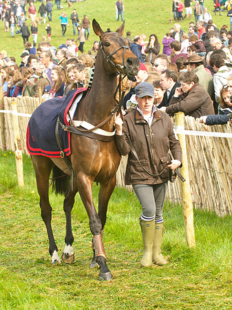 Old Berks at Lockinge Restricted Race